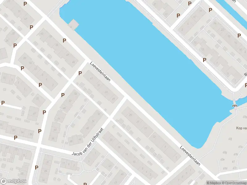 Ambulance met gepaste spoed naar de Loevesteinlaan in Gorinchem