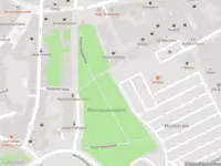 Brandweer met gepaste spoed naar de Graaf Ottosingel in Zutphen