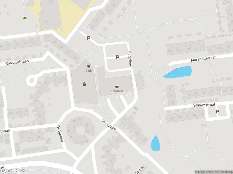 Overlastmelding De Spinne in Goes gesloten