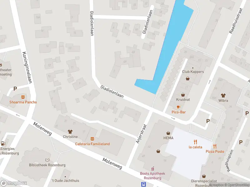 Brandweer met gepaste spoed naar de Gladiolenlaan in Rozenburg vanwege afgaan rookmelder