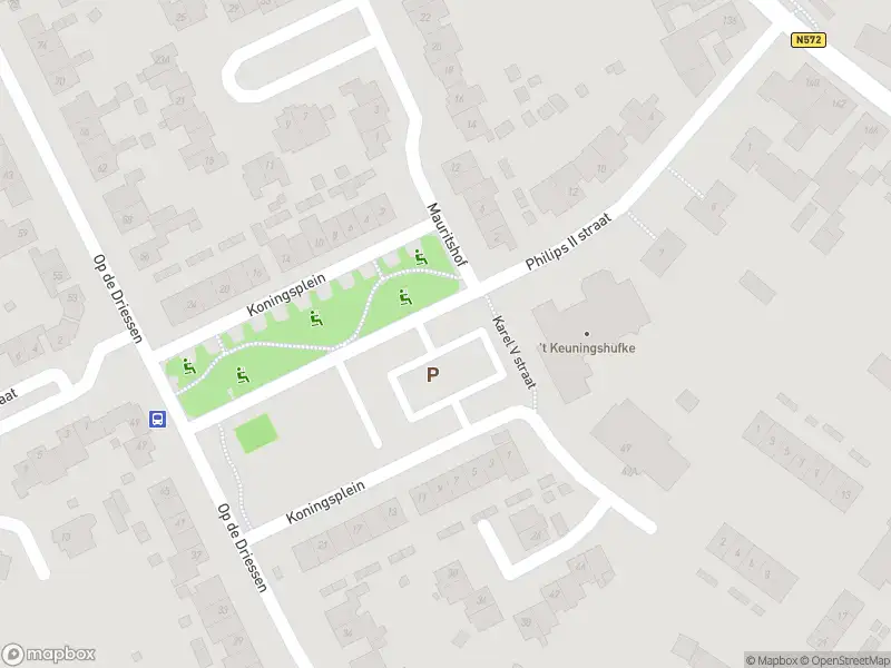 Overlastmelding Koningsplein in Koningsbosch gesloten