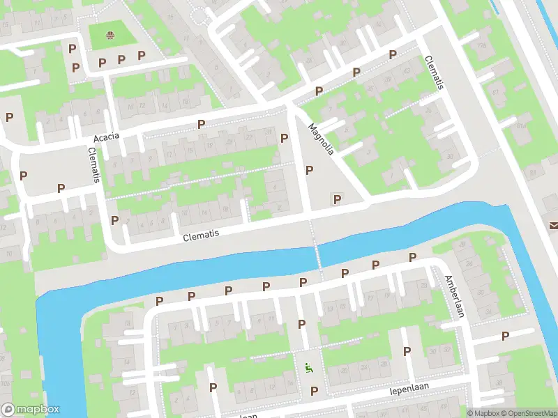 Overlastmelding Magnolia in Dirksland
