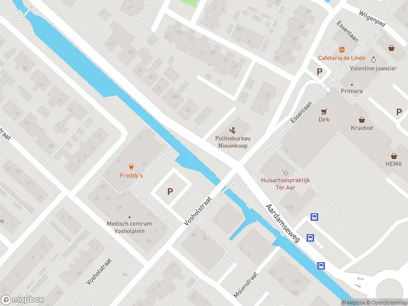 Ambulance met grote spoed naar de Molenstraat in Ter Aar