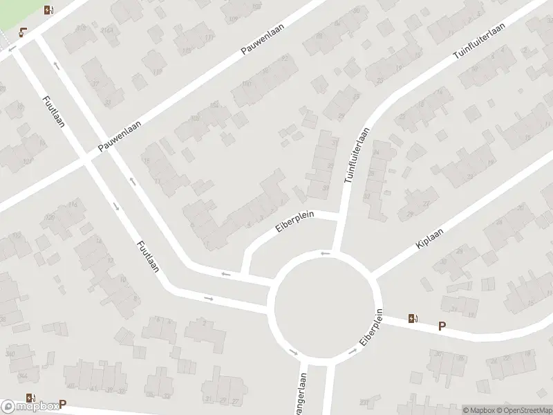 Brandweer met gepaste spoed naar de Eiberplein in 's-Gravenhage