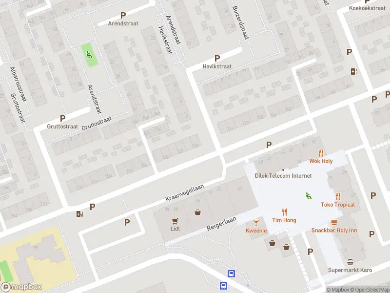 Ambulance met grote spoed naar de Kraanvogellaan in Vlaardingen