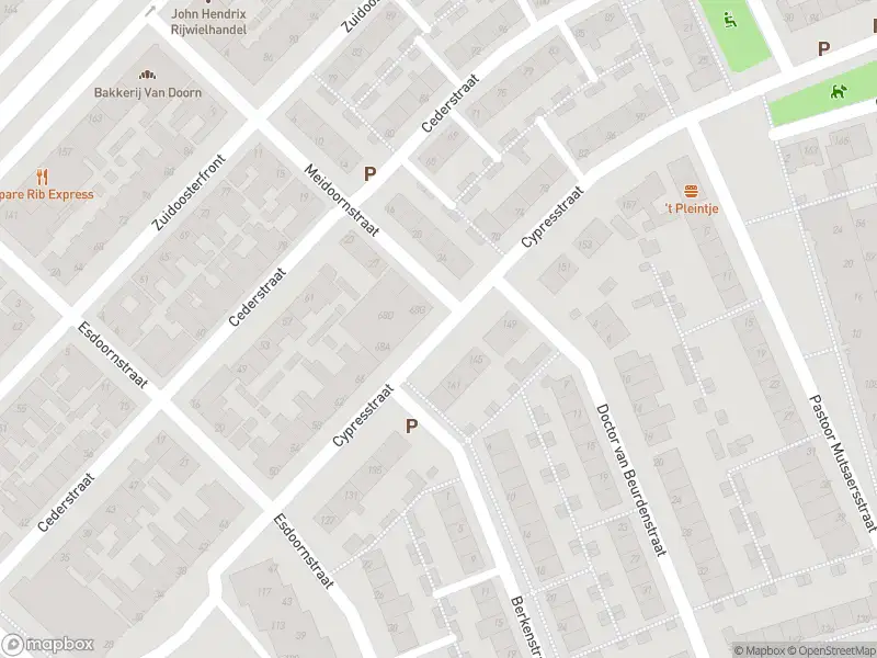 Brandweer met gepaste spoed naar de Esdoornstraat in 's-Hertogenbosch