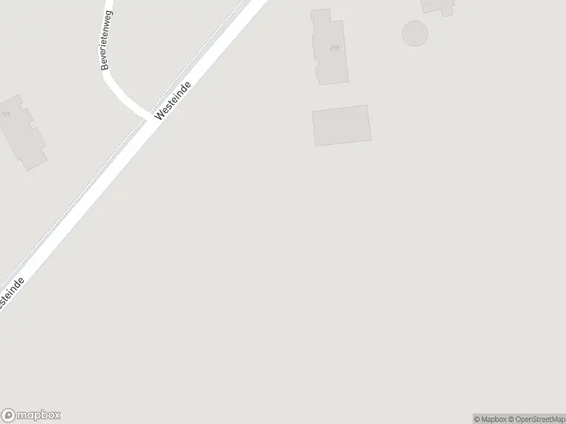 Brandweer met gepaste spoed naar de Westeinde in Wapserveen