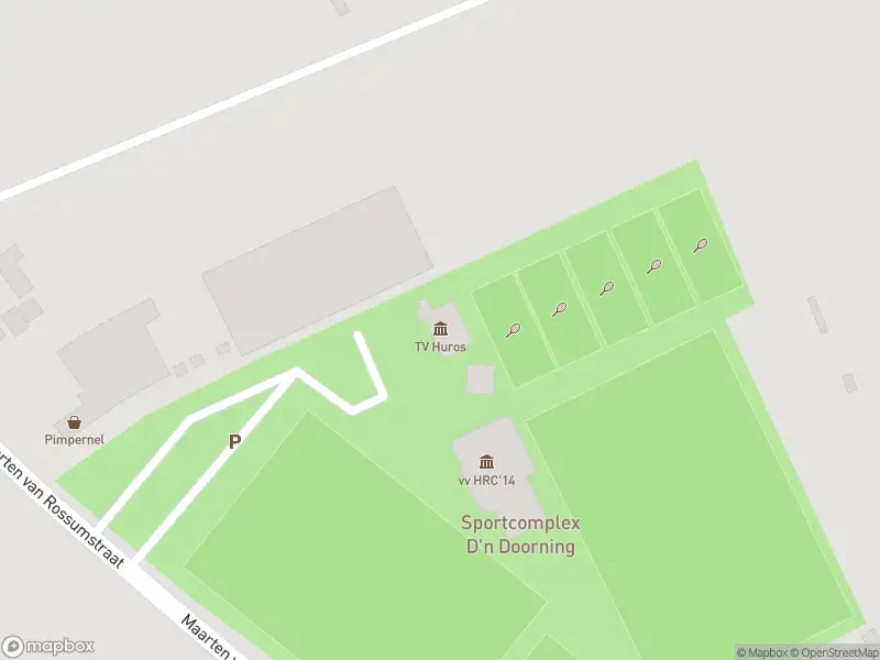 Brandweer met gepaste spoed naar de Maarten van Rossumstraat in Rossum