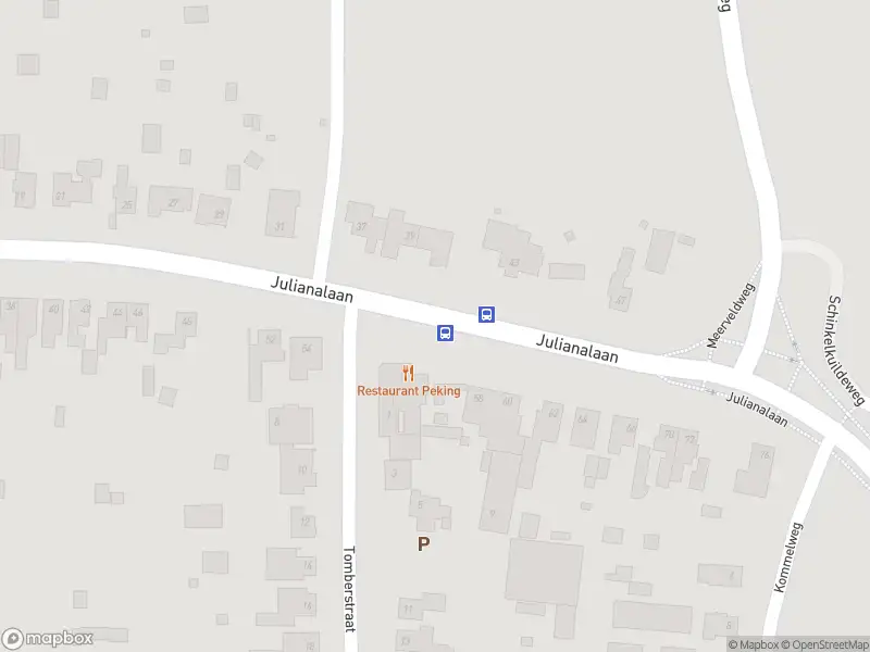 Overlastmelding Julianalaan in Papenhoven