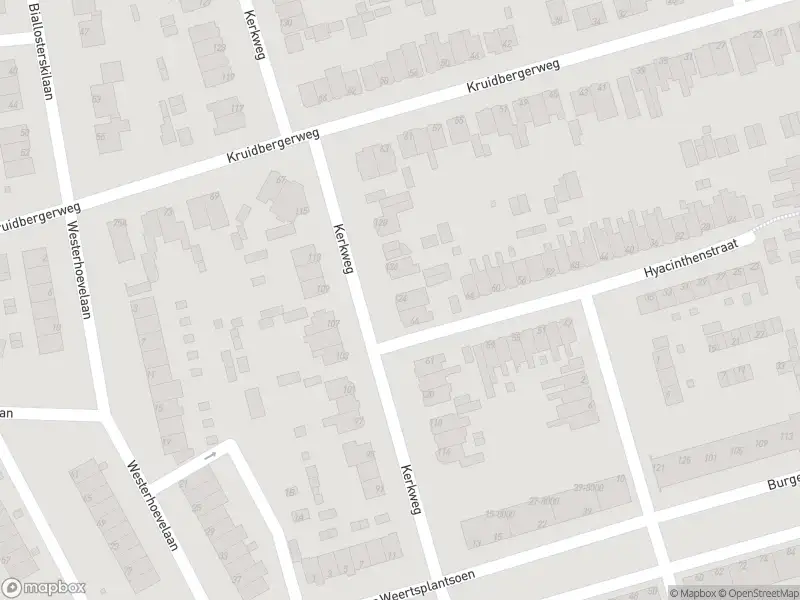 Overlastmelding Kerkweg in Santpoort-Noord