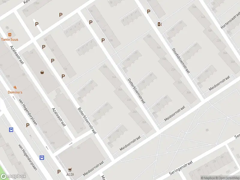 Ambulance met gepaste spoed naar de Dotterbloemstraat in Vlaardingen