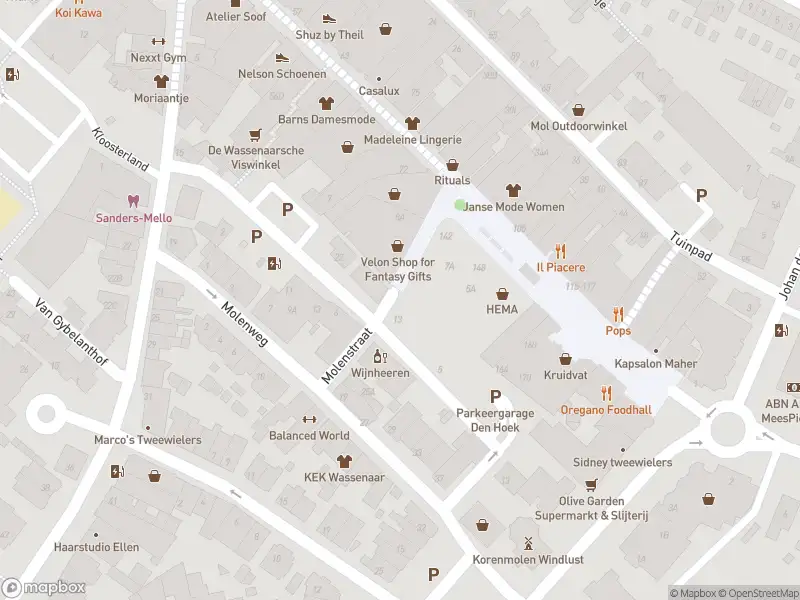 Ambulance met grote spoed naar de Molenstraat in Wassenaar