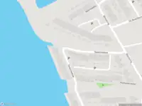 Overlastmelding Oeverzwaluw in Goirle