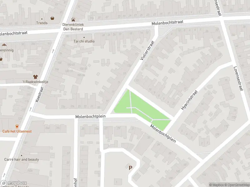 Overlastmelding Lovensestraat in Tilburg