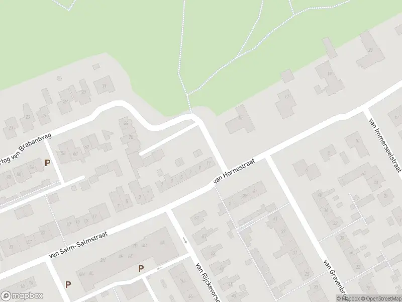 Overlastmelding Van Hornestraat in Loon op Zand