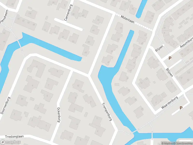 Anonieme overlastmelding Molenlaan in 2181GE Hillegom