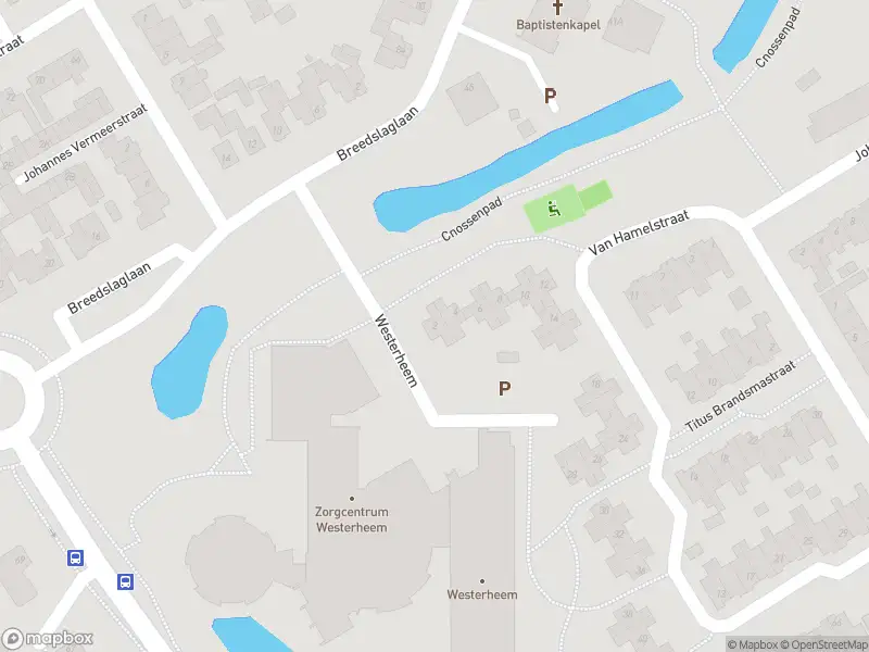 Overlastmelding Van Hamelstraat in Heemskerk