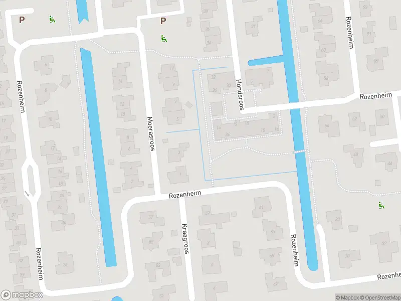 Brandweer met gepaste spoed naar de De Maalderij in Dedemsvaart