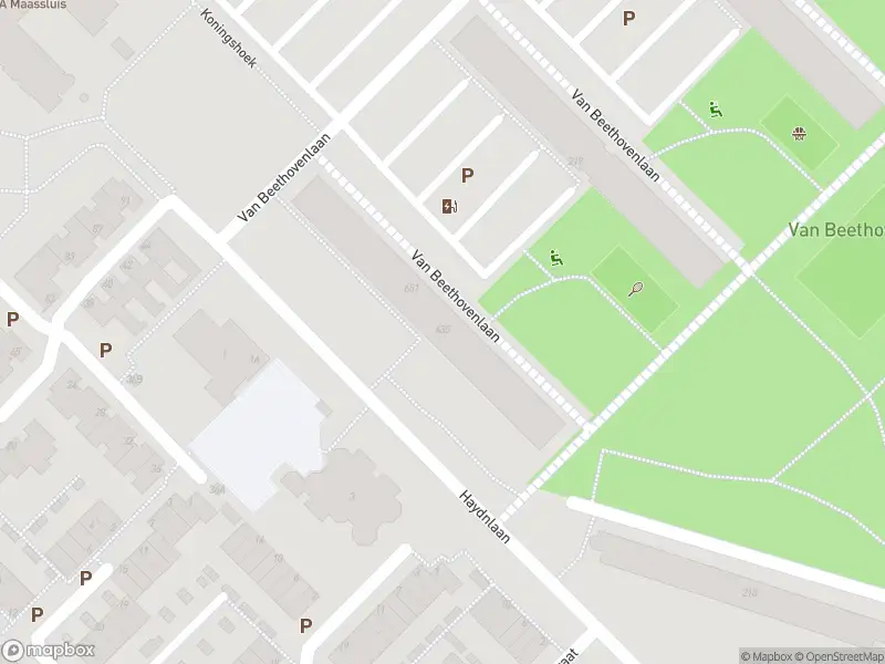 Overlastmelding Van Beethovenlaan in Maassluis