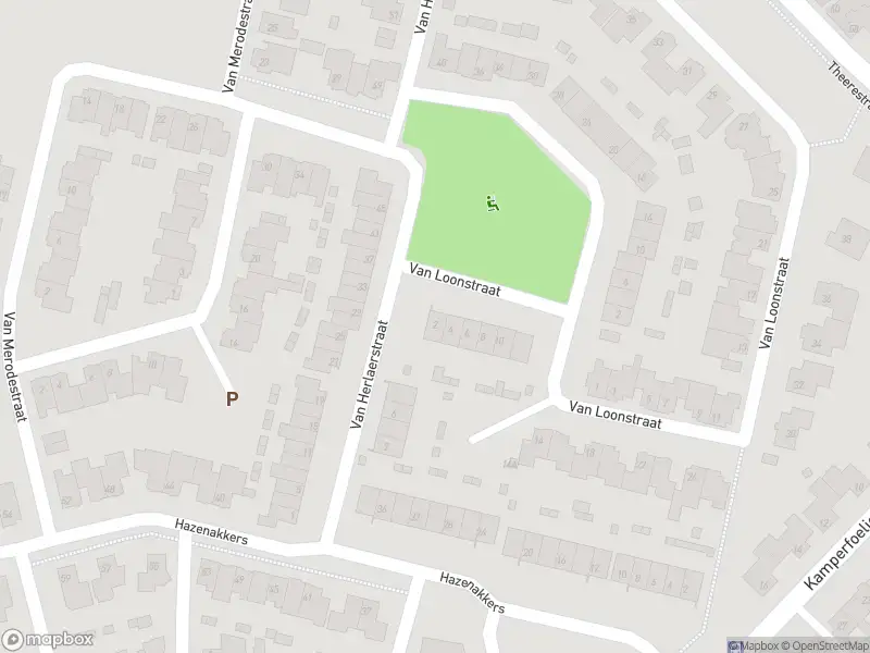 Overlastmelding Van Loonstraat in Sint-Michielsgestel