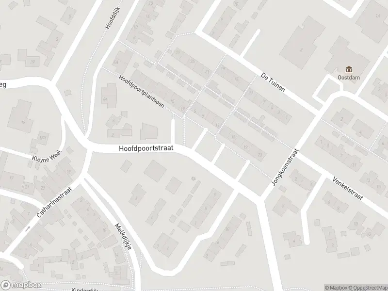 Ambulance met gepaste spoed naar de Hoofdpoortstraat in Goedereede