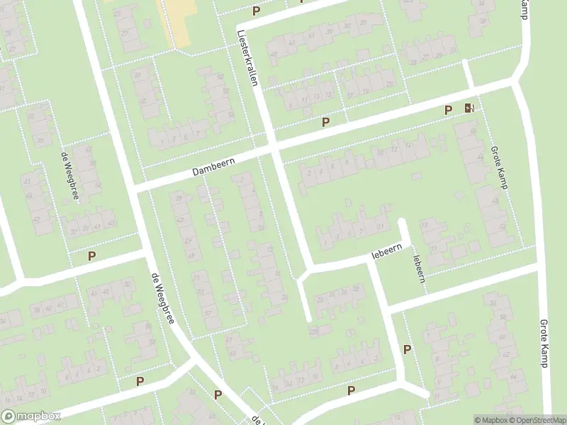 Brandweer met gepaste spoed naar de Iebeern in Gieten vanwege dier(en) in nood