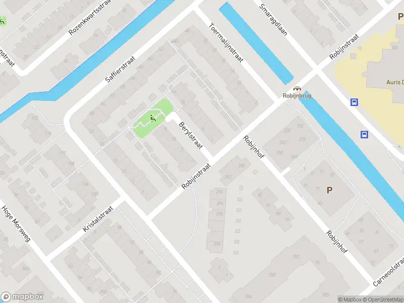 Ambulance met gepaste spoed naar de Berylstraat in Leiden