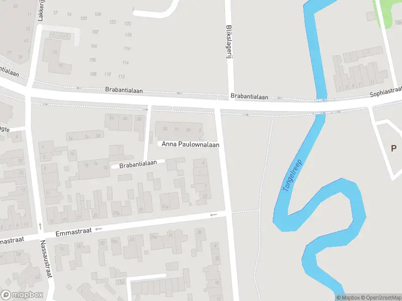 Overlastmelding Anna Paulownalaan in Waalre gesloten