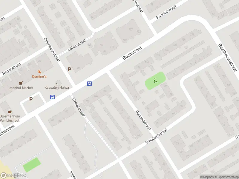 Overlastmelding Gounodstraat in Heemskerk gesloten