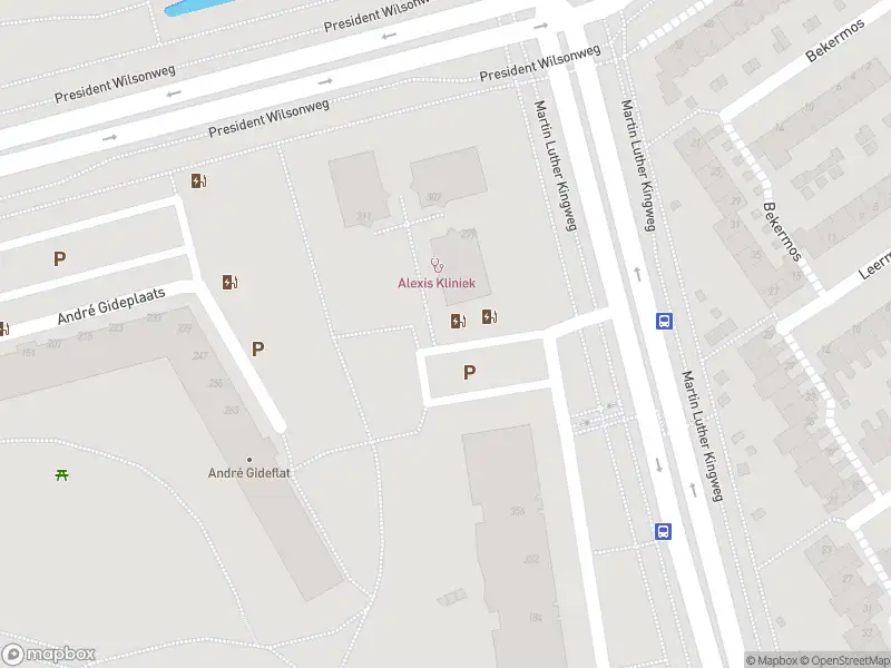 Ambulance met gepaste spoed naar de Thomas Mannplaats in Rotterdam