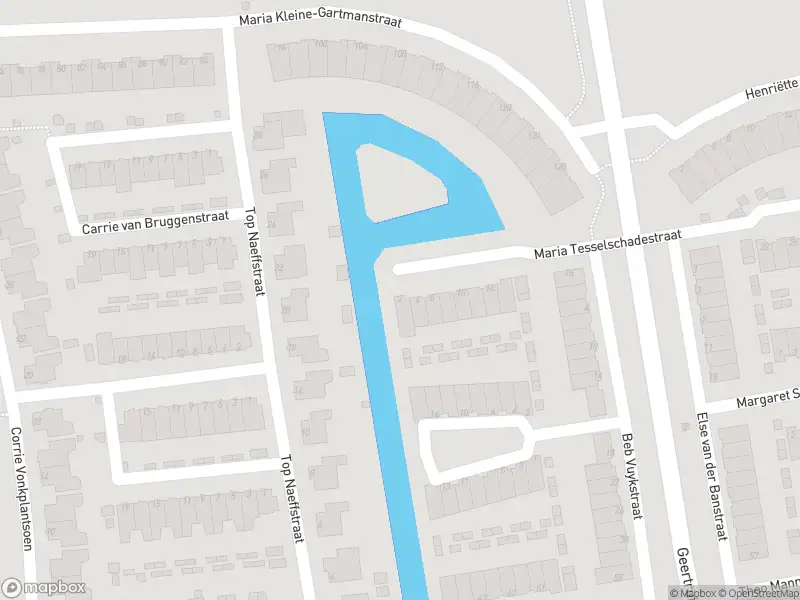 Politie naar de Maria Tesselschadestraat in Spijkenisse vanwege dier(en) in nood