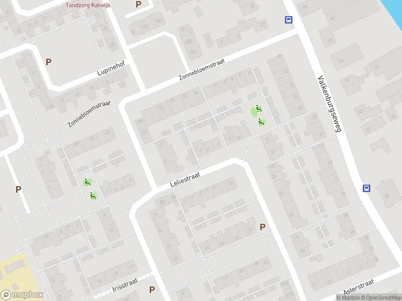 Overlastmelding Leliestraat in Katwijk aan Zee gesloten