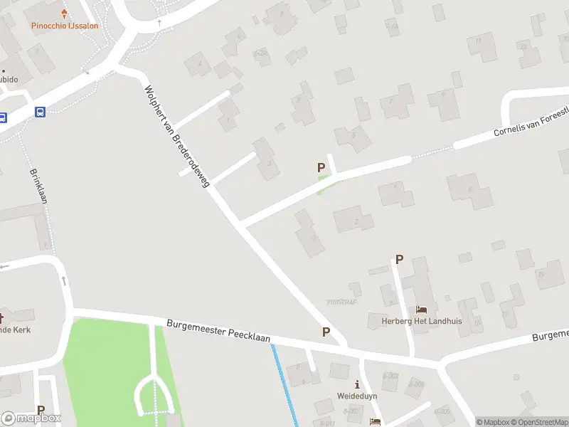 Overlastmelding Wolphert van Brederodeweg in Schoorl