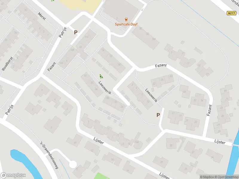 Overlastmelding Raadhuisstraat in Maasdam gesloten