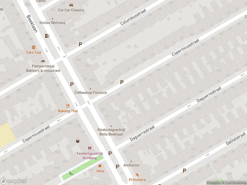 Overlastmelding Copernicusstraat in 's-Gravenhage
