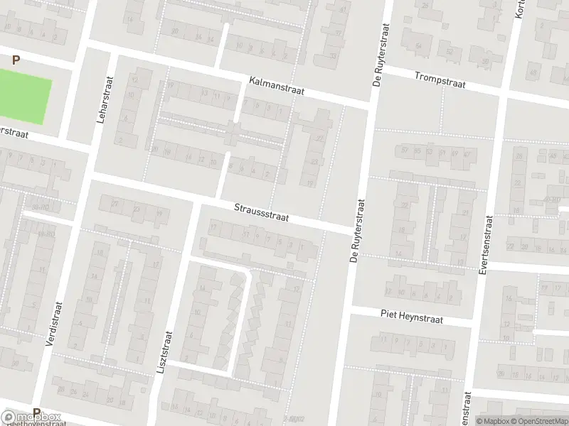 Overlastmelding Straussstraat in Dongen