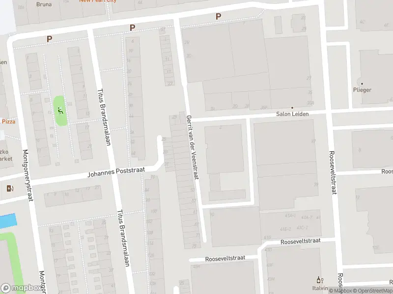 Ambulance met gepaste spoed naar de Gerrit van der Veenstraat in Leiden