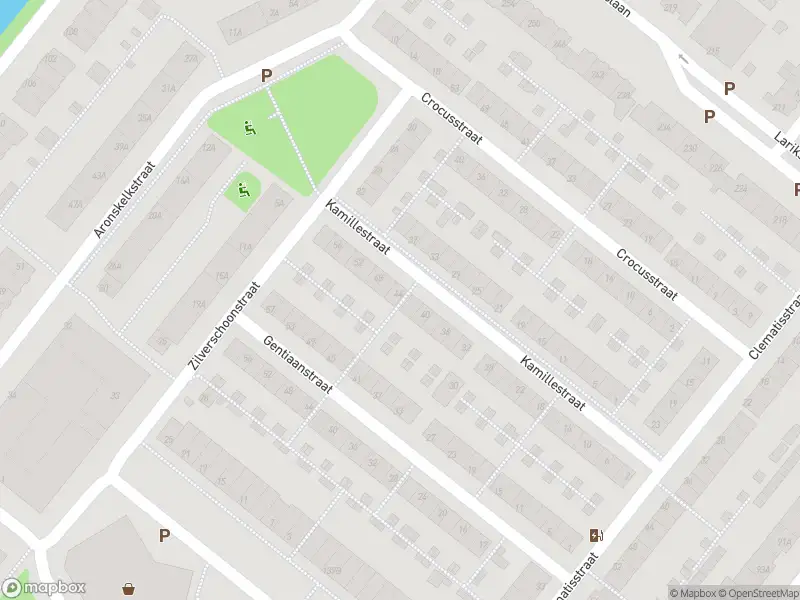 Ambulance met gepaste spoed naar de Kamillestraat in Rotterdam
