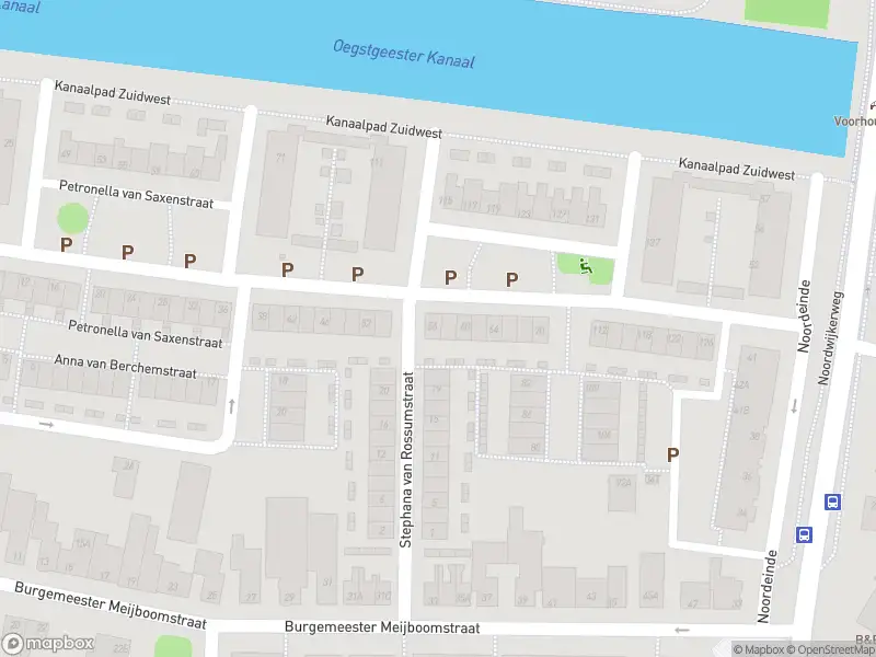 Overlastmelding Petronella van Saxenstraat in Rijnsburg