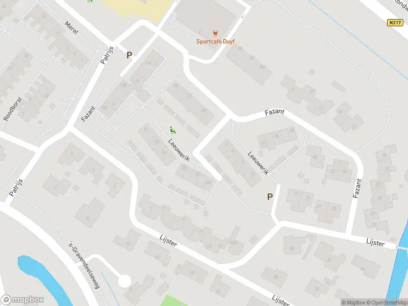 Overlastmelding Dorpsstraat in 3299BB Maasdam