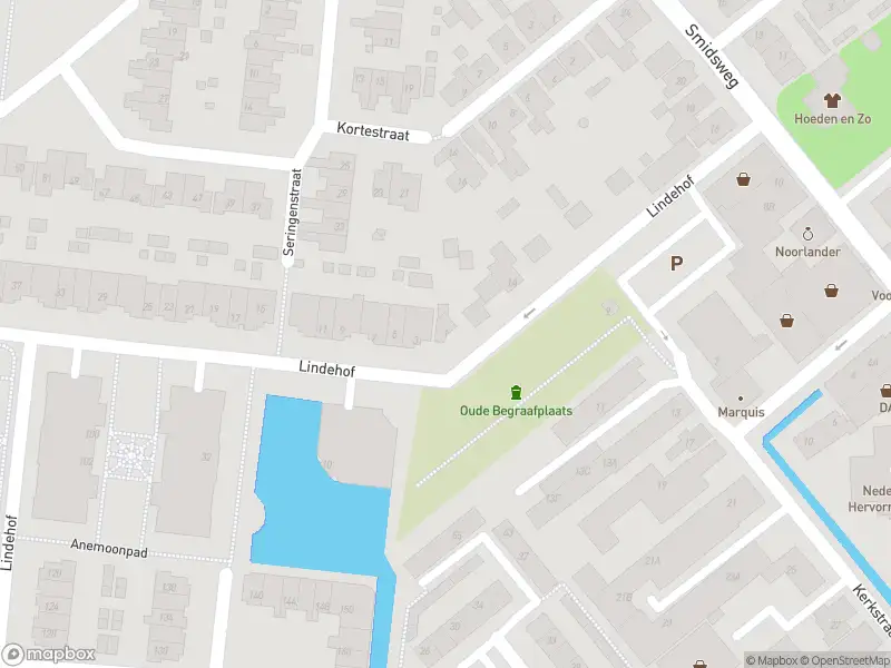 Ambulance met gepaste spoed naar de Lindehof in 's-Gravendeel