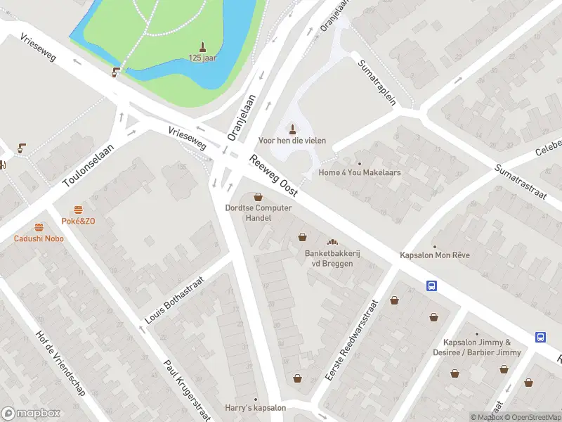 Overlastmelding Reeweg Oost in Dordrecht