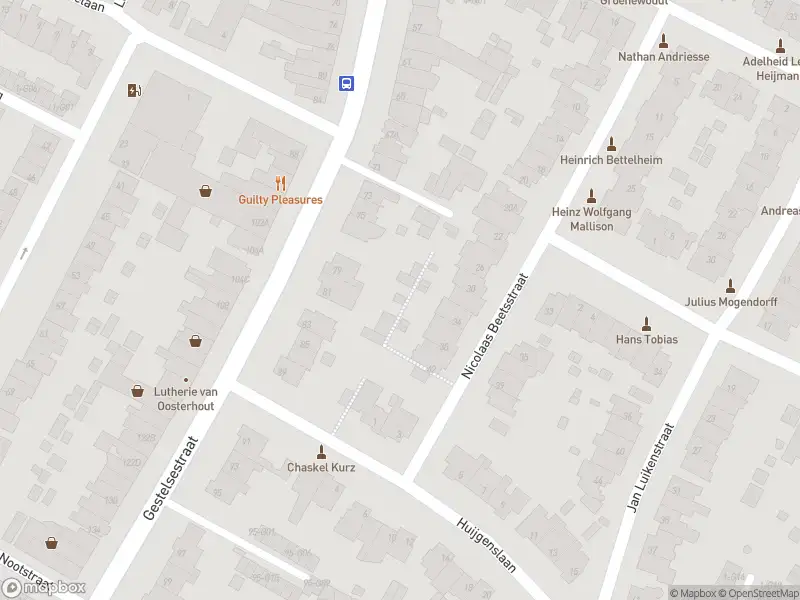 Traumahelikopter met grote spoed naar de Jan van Heelustraat in Eindhoven