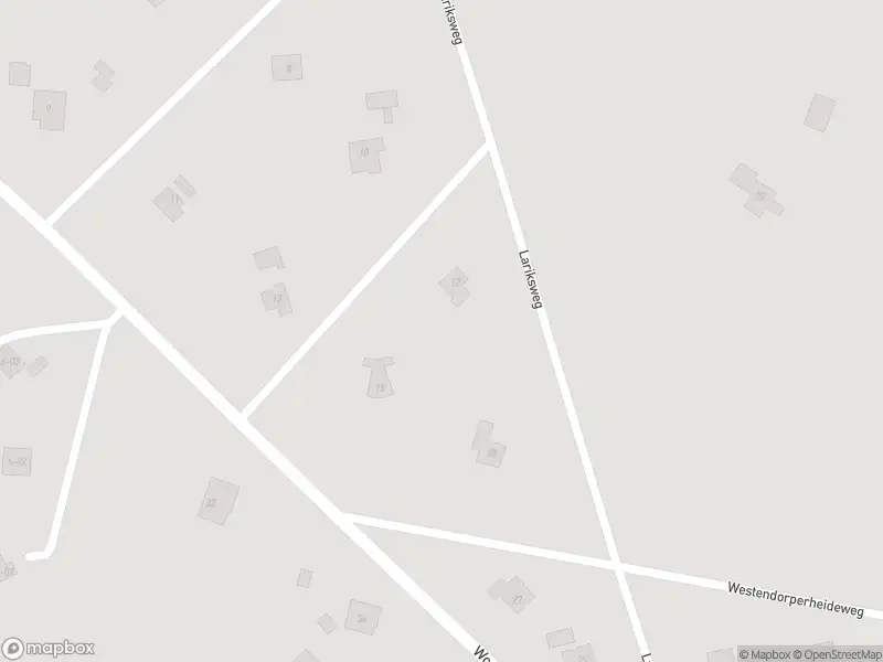 Overlastmelding Woesterbergweg in Emst