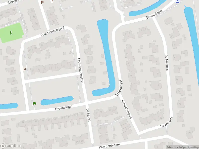 Anonieme overlastmelding Rijnstraat in 6665CK Driel