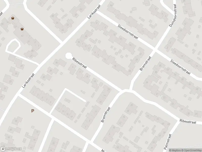 Overlastmelding Ribesstraat in Echt