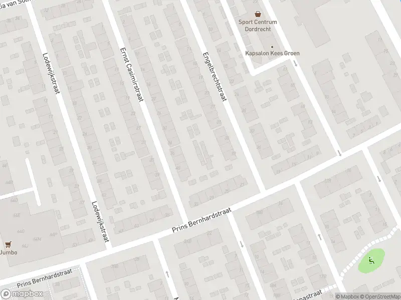Overlastmelding Amalia van Solmsstraat in 3314LD Dordrecht