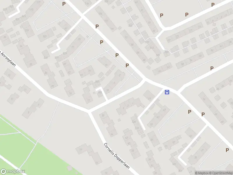 Overlastmelding Peter van Anrooylaan in Dieren gesloten