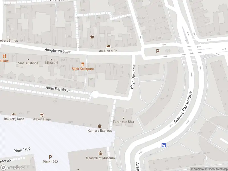 Brandweer en politie met grote spoed naar de Wycker Brugstraat in Maastricht vanwege stankoverlast