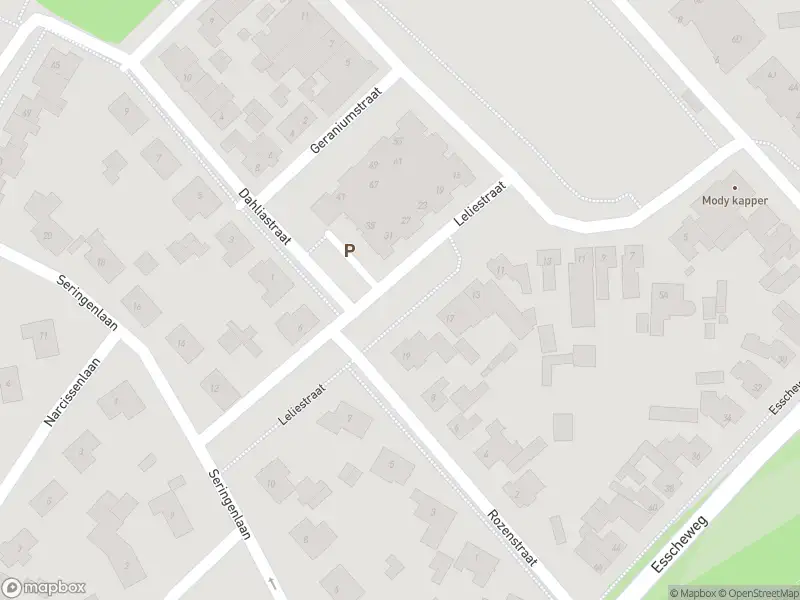 Overlastmelding Leliestraat in Sint-Michielsgestel gesloten